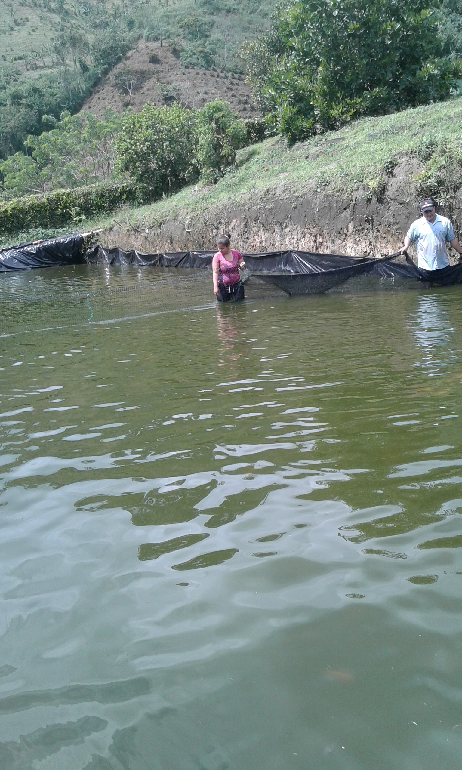 peces14